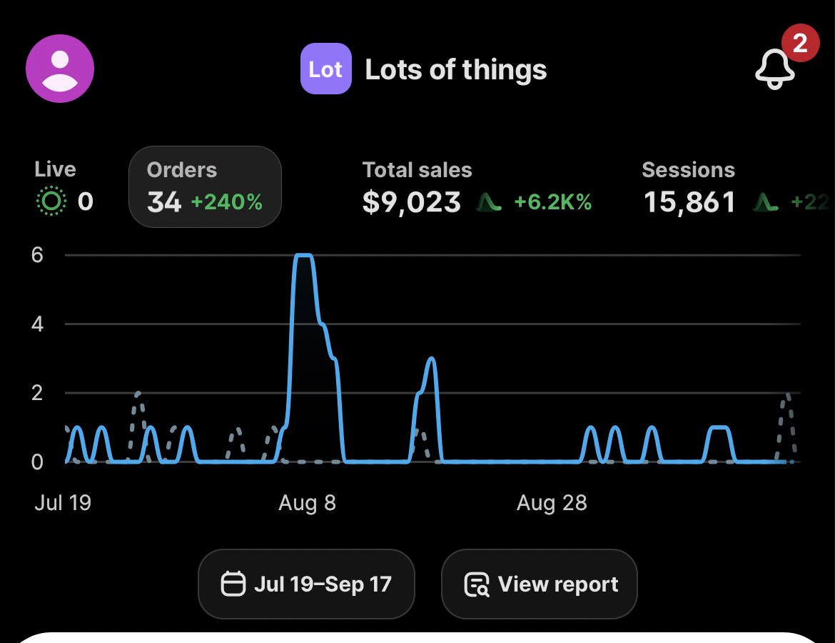 Lots Of Things results in Shopify analytics